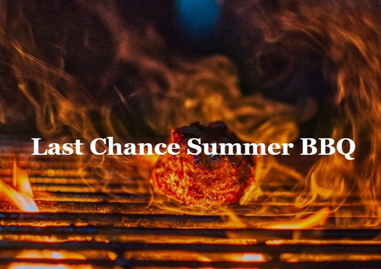 Last chance summer bbq text over hot coals